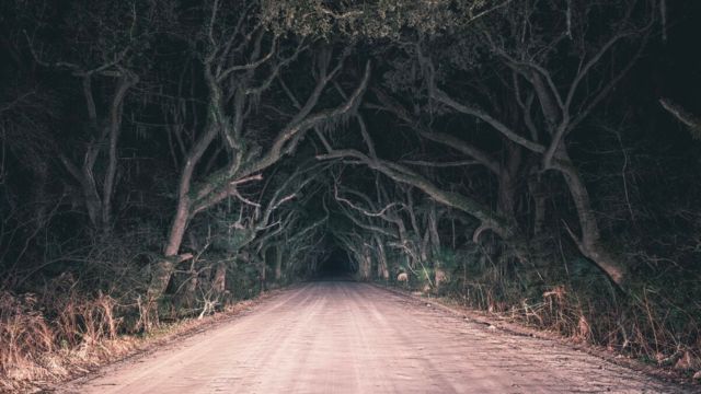 Roaring Fork Motor Trail Named Among the Most Haunted Roads in the U.S.